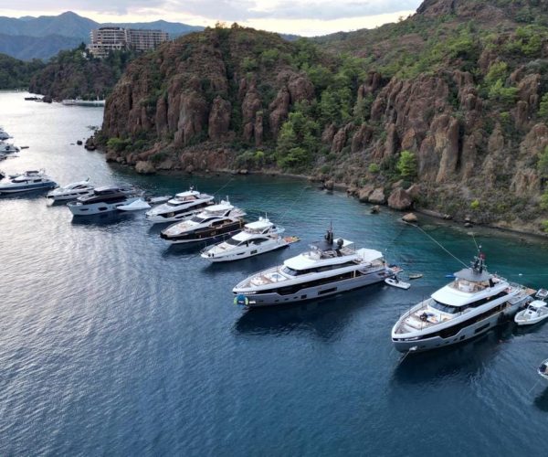 adelmare-agency-rhodes-website (1)